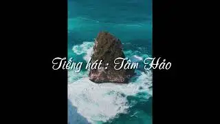 Xanh rêu -Hoa Sơn- Miên Du Đà Lạt - Tâm Hảo