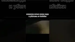 мем дня #fypシ #fyp #trending #shorts #memes #tiktok #viral