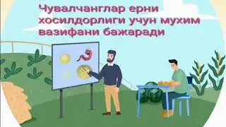 Чувалчанглар ерни хосилдорлиги учун мухим вазифани бажаради