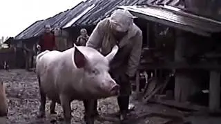 Память. Петроселье 2003