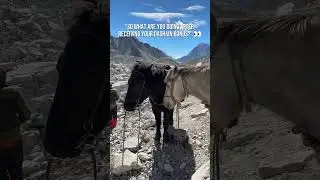 What are you guys doing bonus le?? 👀#fromeverest #trekking #travelnepal #dashain #bonus #corporate