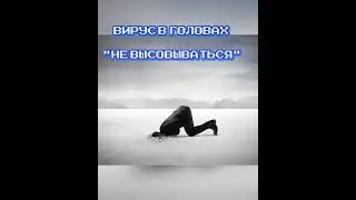 ИНФОВИРУС В ГОЛОВАХ