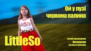 LittleSo - Ой у лузі червона калина