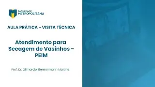 Tendimento Clínico para Secagem de vasinhos - Aula Prática