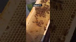 Немного лета! 
