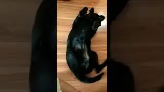 Люся