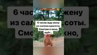 приколы 2022