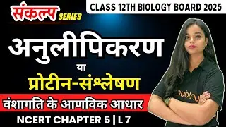 अनुलीपिकरण या प्रोटीन-संश्लेषण | 12th Biology Chapter 5 वंशागति के आणविक आधार | 12th Hindi Medium
