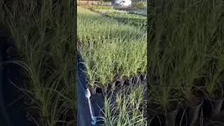 Подготовка к осеннему   сезону 2024 уже на финишной прямой 😉