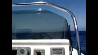 Traversata Palau-Bastia-La Spezia.mp4