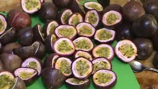 Processing Passionfruit for the Freezer & Making a Passionfruit Drink.
