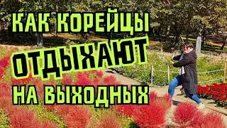 СЕУЛ: смотрим на корейские семьи в парке, на студенческий, китайский районы, контейнерный ТЦ, аркады