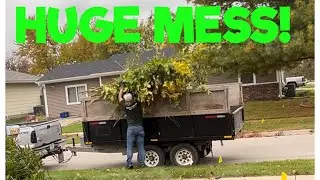 Cleaning this OVERGROWN PROPERTY was crazy!