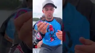 Огромные ОКУНИ в Сибири! 