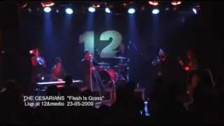 The Cesarians 