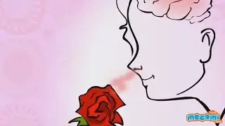 Sense of Smell - How the Body Works | Human Senses | Science for Kids | Educational Videos by Mocomi