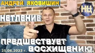 Нетление предшествует восхищению. Андрей Яковишин.