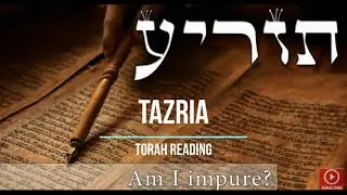 Tazria Persaha -קריאה בתורה פרשת תזריע נוסח ספרדי ירושלמי