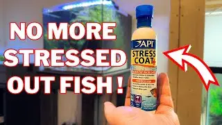 API Stress Coat Aquarium Water Conditioner (Honest Review)
