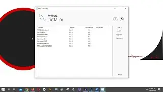 ¿Cómo instalar los complementos para conectar Microsoft Excel con Mysql?