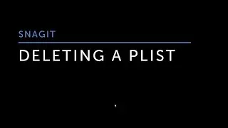 SNAGIT: DELETING A PLIST