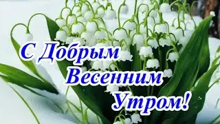С Добрым Весенним Утром! Пусть в душе поёт весна!