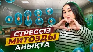 Стрессіз митозды анықта | ҰБТ Биология