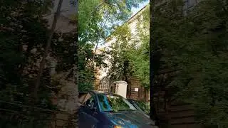 Большой проспект 31 Спб/Spb