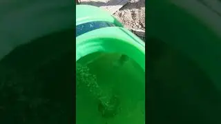 מרסס מנוע בנזין, מערבבים לפני התחלת הדברה - אלדר הדברות