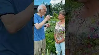 Чеснок, часть 2