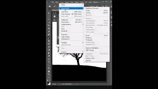 Remove Backgrounds -Short Photoshop Tutorial #removebackground  #short #photoshop