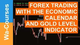 Forex Trading With The Economic Calendar and  Gold Level indicator