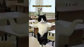 Жиза?🤣 Пародия на @Danya_rodnoy 