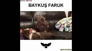 FURKAN EMİRCE -  BAYKUŞ FARUK #shorts #keşfet #trending #furkanemirce  #faruk #trendingshorts