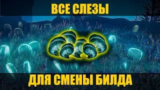 Elden Ring Shadow of the Erdtree - Все слезы личинки (Гайд)