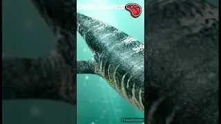 Kronosaure - Un jour, Un dino