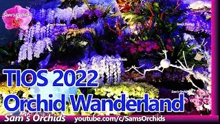 TIOS orhcid wanderland, Taiwan International Orchid Show 2022 Hall 1 Display