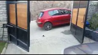 Otomatik Kanatlı Kapı