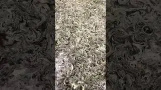 Вы тоже так думали ???