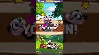 Panda Pop! Bubble Shooter Saga & Puzzle Adventure -  Crush, blast and burst