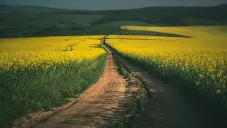 Тарас Шевченко, вірш 