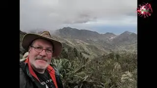 Wandern um den Pico del Ingles runter nach Roque Negro.