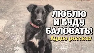 Истории из жизни. ЛЮБЛЮ И БУДУ БАЛОВАТЬ, ЧТОБЫ ПОТОМ НИ О ЧЁМ НЕ ЖАЛЕТЬ! Душевные истории. Рассказ.