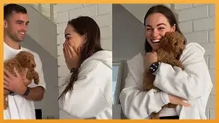 NEW PUPPY SURPRISE COMPILATION 2024 | WHOLESOME SURPRISE MOMENTS