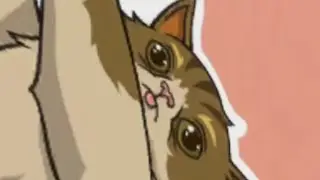 Valorant clips to watch while u procrastinate