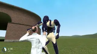 Squibbo Combo