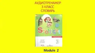 Module 2. Словарь. Spotlight 3
