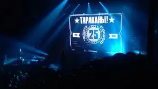 #тараканы #Avrora