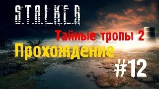 Сталкер Тайные Тропы 2 #12 [Варяг и Майор Ярофеев]