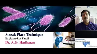 Streak Plate Technique Explained in Tamil